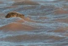 香港节点打不开谷歌市场-香港节点加速器推荐