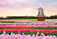 如何获取香港IP节点vpn推荐地址-香港节点加速器推荐