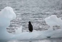 香港腾讯云节点-香港节点加速器推荐