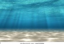 ssr香港免费节点-香港节点加速器推荐