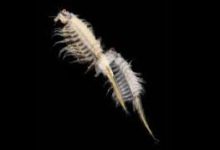 谷歌空间节点怎么改香港-香港节点加速器推荐