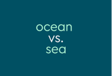 quantumlt香港节点设置-香港节点加速器推荐