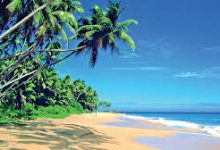 香港免费节点分享 定时更换-香港节点加速器推荐