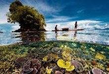 香港节点能加速圣歌嘛-香港节点加速器推荐