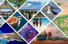 离香港最近的节点是哪个好-香港节点加速器推荐