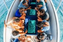 uplay香港节点-香港节点加速器推荐