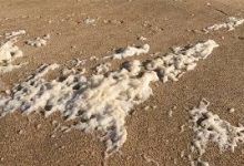 香港在steam节点叫什么用-香港节点加速器推荐