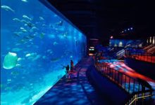 奇游的香港节点-香港节点加速器推荐